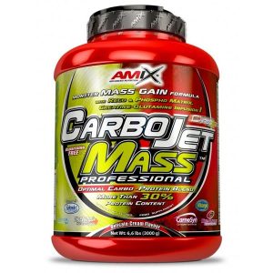 CARBOJET MASA PROFESIONAL - 3KG - Frutos del Bosque